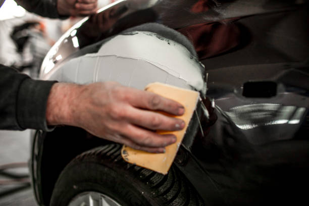 Burr Ridge, IL Mold Removal Company