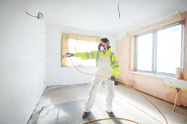 Best Crawl Space Mold Remediation  in Burr Ridge, IL