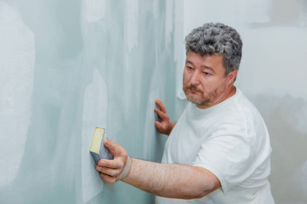 Biohazard Mold Removal in Burr Ridge, IL