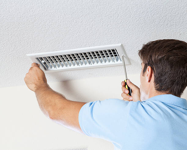  Burr Ridge, IL Mold Removal Pros